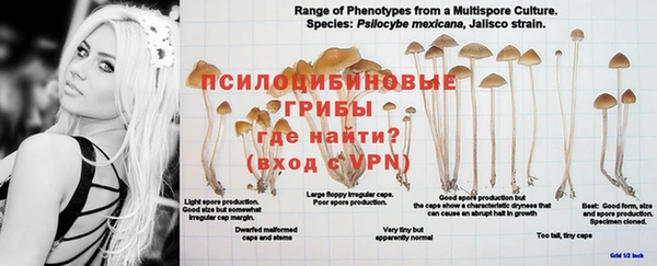 гашишное масло Абинск